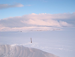Hardangervidda: Schnee satt