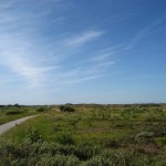 Weg durch die Dünen südl. v. Skagen