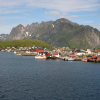 Reine