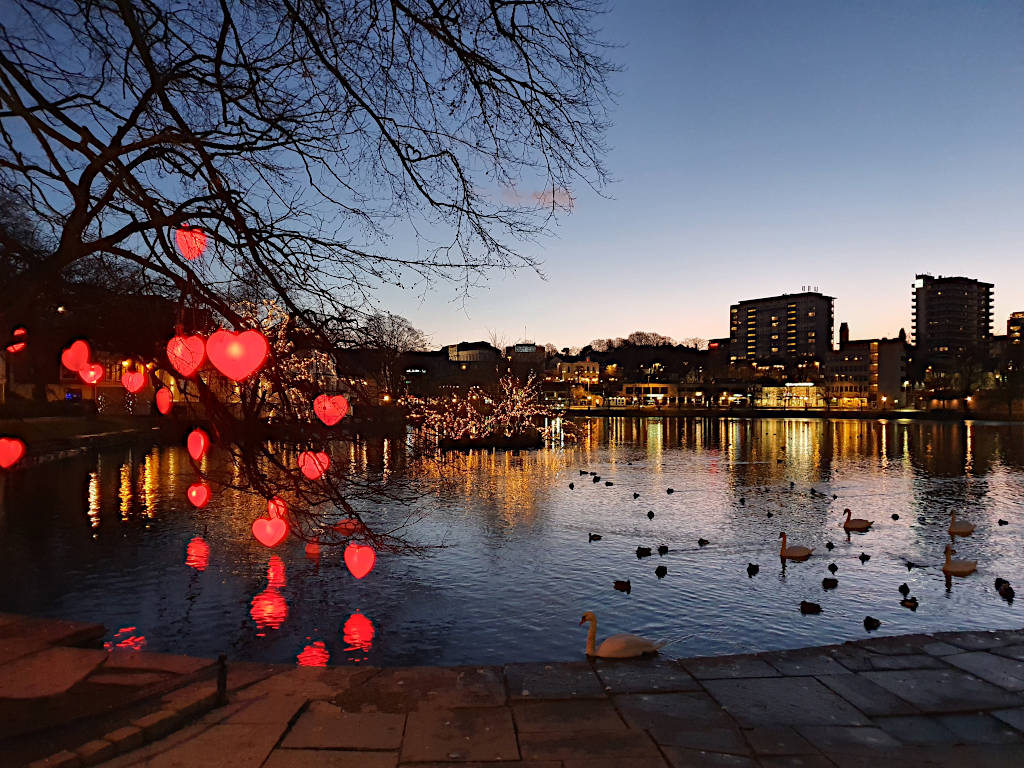 Herzförmige rote Laternen hängen an einem Baum, der an einem kleinen See in Stavanger (Breiavatnet) steht.